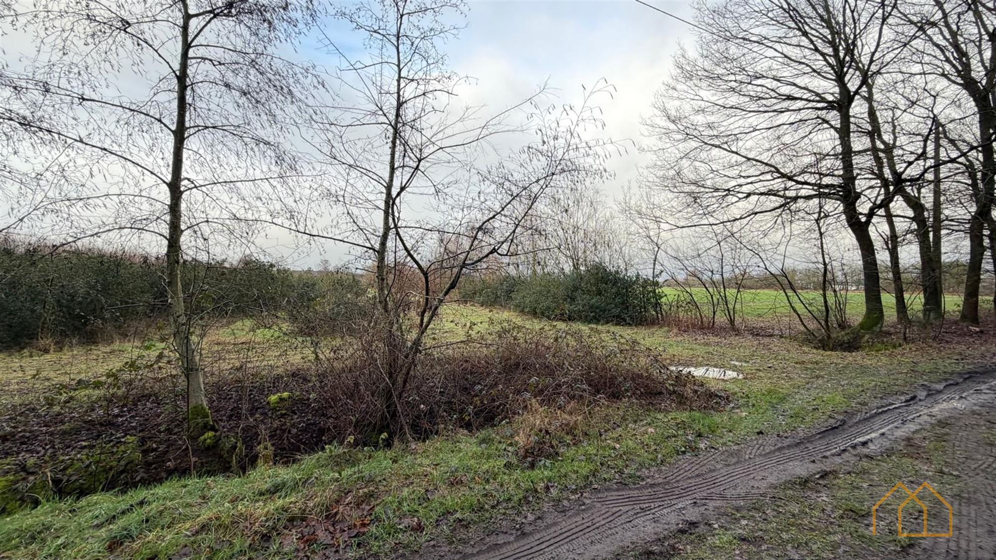 Landbouwgrond van 8600m² in Ten Aard - foto 2