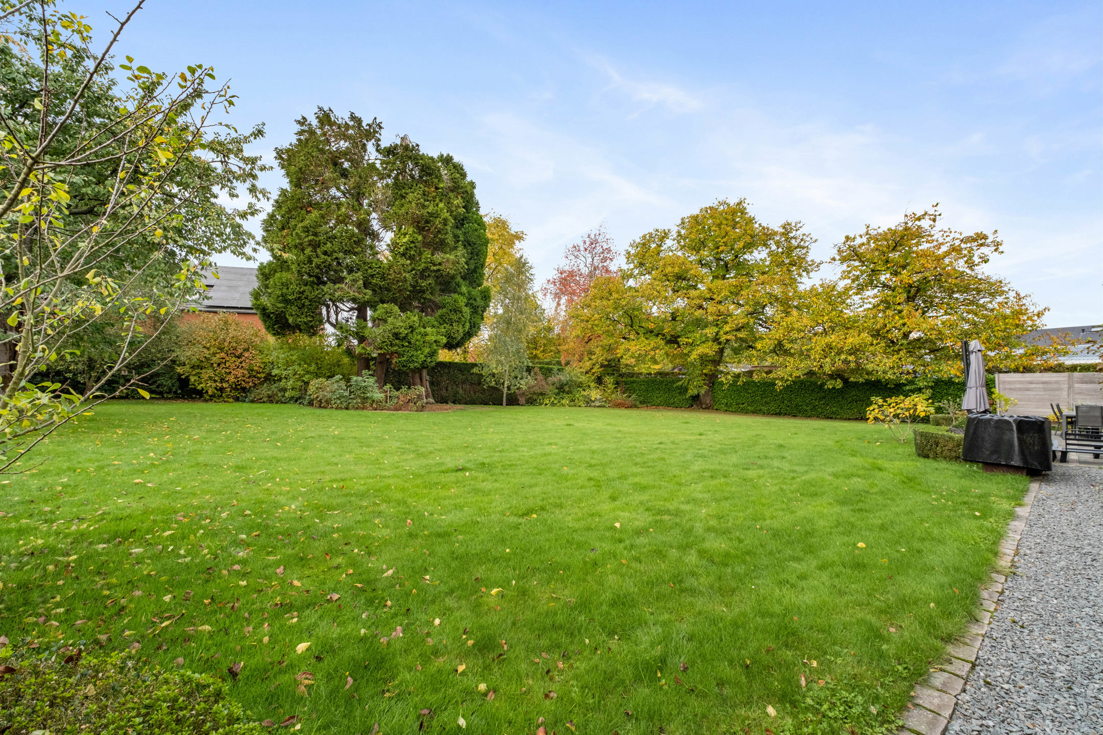 Commercial à vendre à Ellezelles - photo 4