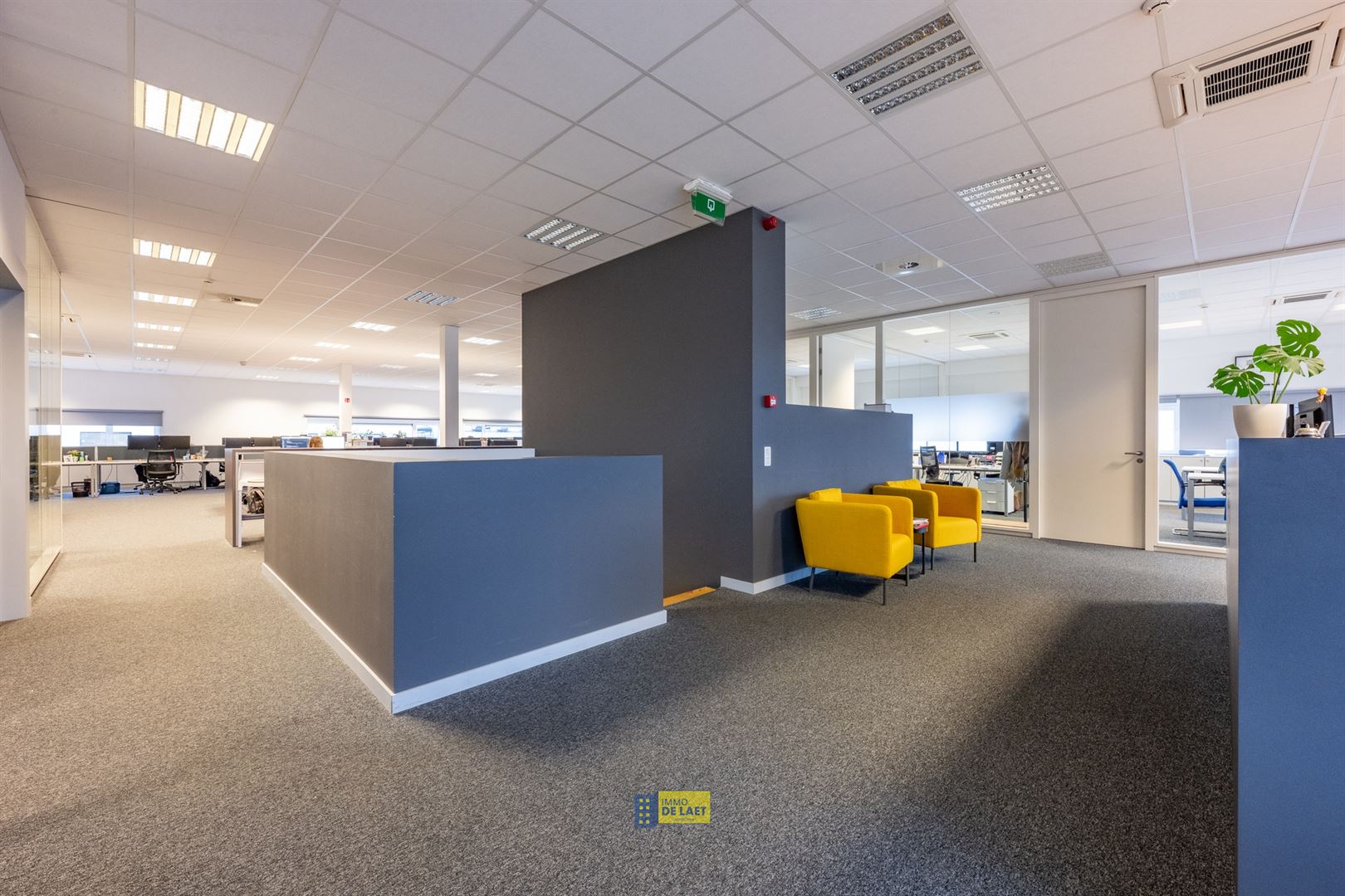 Commercial for rent in Kapellen - photo 4