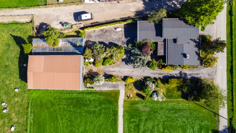 Zéér rustig & centraal gelegen (gewezen tuinbouwbedrijf) landhuis op 1,15 Ha met 4 SLK, garage, loods 250m2 & aanpalend weiland - foto 5