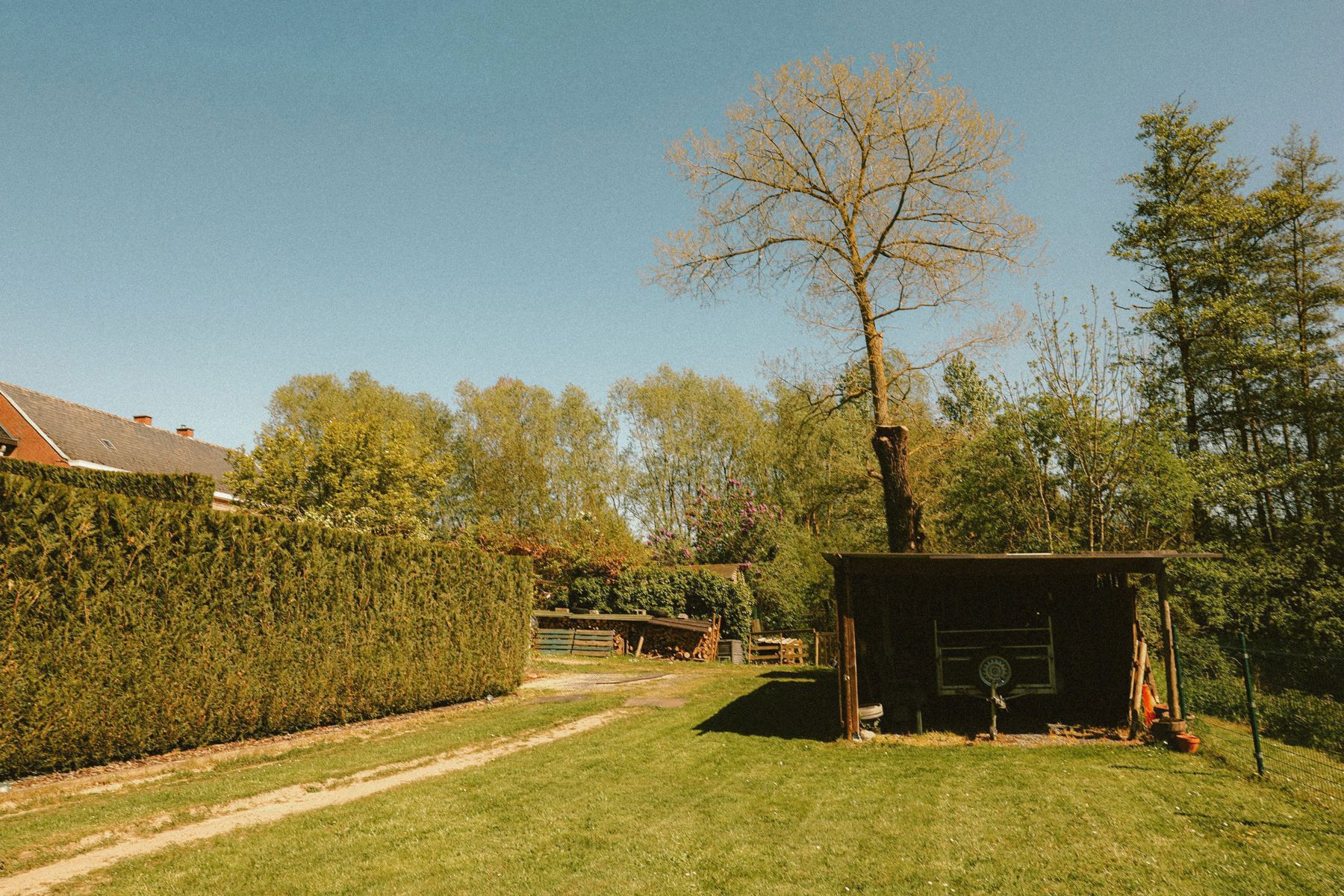 VERNIEUWDE WOONST + 2 WEIDEN + BOS - foto 5