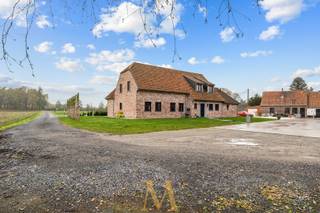 In een oase van rust, en toch op een steenworp van het centrum van Olsene en de oprit van de E17 (Kruishoutem), bevindt zich deze uitzonderlijke en recente hoeve (bouwjaar 2020). Via een private oprijlaan bereikt u deze prachtige eigendom, omgeven door uitgestrekte weides op een totale oppervlakte van ca. 3 hectare.<br /><br />De woning werd gebouwd met oog voor comfort, ruimte en lichtinval. Op het gelijkvloers komt u binnen via een inkomhal met apart gastentoilet. Aansluitend vindt u de lichtrijke, volledig hypergeïnstalleerde open keuken met eetruimte. Naast de keuken bevinden zich twee ruime bergingen, waarvan één met wasplaats. De royale leefruimte baadt in het licht en biedt een prachtig zicht op de omgeving. Verder zijn er op het gelijkvloers twee volwaardige slaapkamers en een luxueuze badkamer met ligbad, inloopdouche, dubbele lavabo en toilet. Op de verdieping bevinden zich nog vier ruime slaapkamers, een tweede badkamer met inloopdouche, enkele lavabo en toilet, evenals twee extra bergingen. Daarnaast is er ook een ruime opbergzolder aanwezig.<br /><br />Via zowel de leefruimte als de eetruimte heeft u rechtstreekse toegang tot het zuidgericht terras, waar u in alle privacy kan genieten van de zon en het landelijke uitzicht.<br /><br />Buiten treffen we een recente hangar (2016) aan van maar liefst 540 m², die tal van mogelijkheden biedt voor opslag, hobby, landbouw of professionele activiteiten. Op het dak van de hangar zijn 28 zonnepanelen met certificaten geplaatst. De woning beschikt over vloerverwarming op propaangas, 2 regenwaterputten van 5.000 liter aangesloten op alle toiletten en de wasmachine en boorput.<br /><br />Kortom: een unieke eigendom die landelijk wonen combineert met een uitstekende bereikbaarheid, ruimte, luxe en talloze mogelijkheden.<br /><br />Interesse?<br />Voor meer informatie of een plaatsbezoek:<br />0498 44 78 00 - info@maximevanneste.be