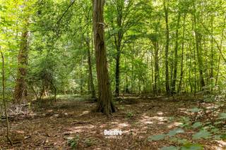 <strong>Deze uitzonderlijke bouwgrond met een oppervlakte van 7.871 m² is rustig gelegen in de residentiële wijk Bois de Strihoux, op de hoek van de Snippendreef (naast huisnummer 1) en de Nachtegalendreef (Drève des Rossignols). Perceelnummer: 0525Y4P0000.</strong><br />De ligging biedt het beste van twee werelden: volledige privacy en rust, omgeven door groen, én een vlotte verbinding naar Brussel en andere invalswegen. Ook winkels, openbaar vervoer en wandelroutes bevinden zich op korte afstand. Dit bosrijke gebied strekt zich uit over beide zijden van de taalgrens en is uitermate bekend voor zijn zeer luxueuze villa’s en landhuizen. Ondanks het afgesloten karakter van deze residentiële woonwijk ligt de aansluiting met de A8 slechts op 3 KM waardoor Brussel/Halle/Rijsel/… vlot bereikbaar zijn.<br />Een unieke kans voor wie droomt van een prestigieuze woning in een natuurlijke en rustige omgeving.<br />