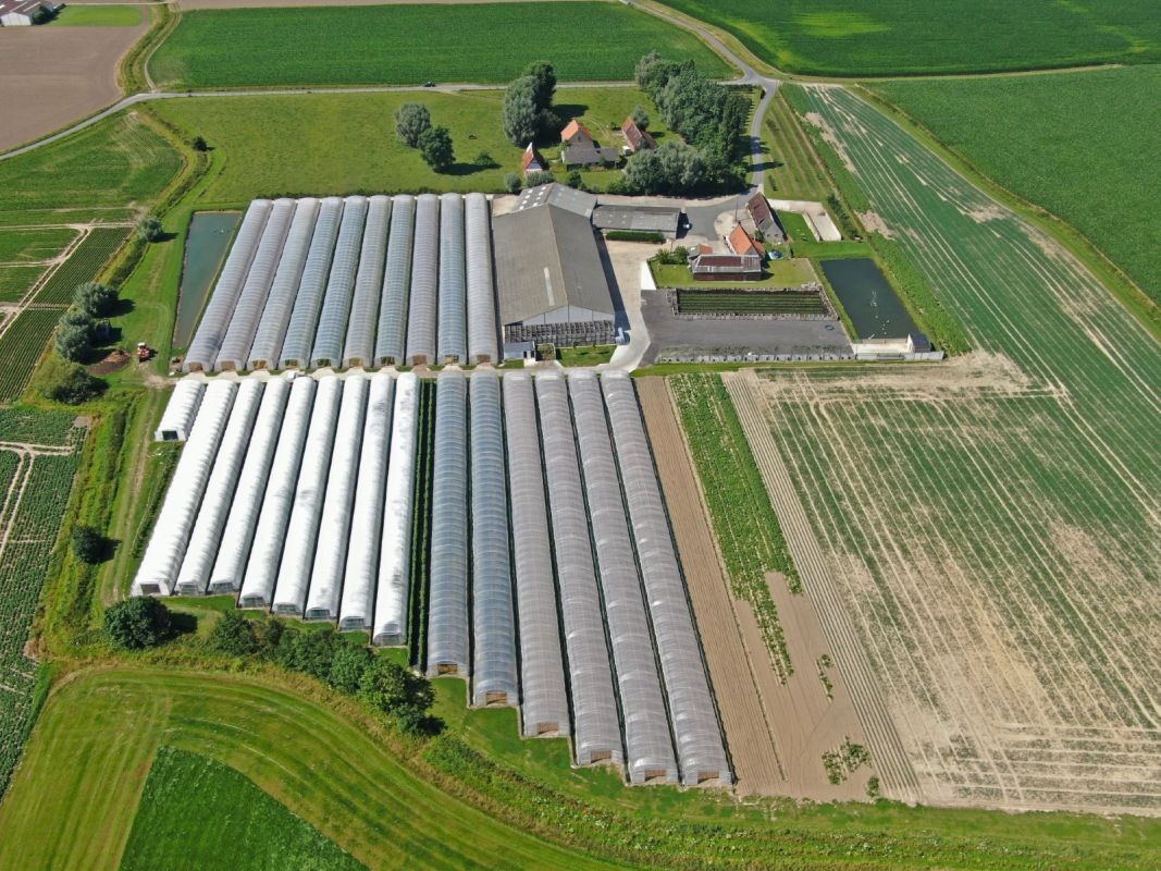 Groenten- en fruitbedrijf te koop te Veurne - photo 3