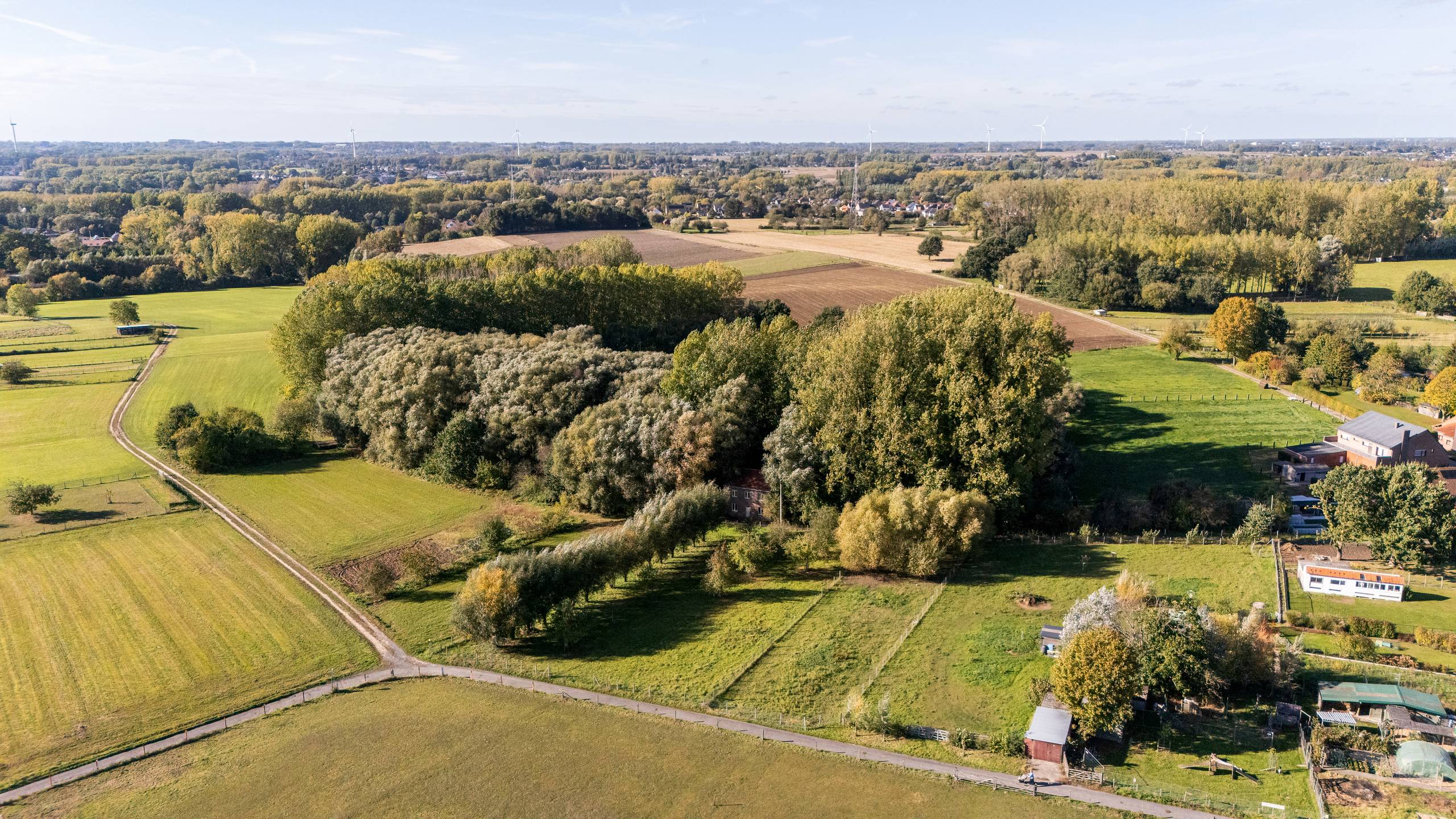 Terrain à vendre à Roosdaal avec 4 chambres - photo 4