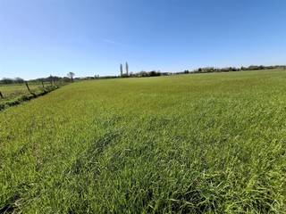 <p>Deze goed bereikbare percelen weideland ( geen bouwgrond ! ) is gelegen aan de rand van Sint Katelijne Waver. <br />U heeft er gemakkelijke toegang toe, zelfs met uw zware landbouwmachines via een doodlopende geasfalteerde straat. <br />Natuurlijk kan u dit perceel vruchtbare grond ook benutten om al uw buitengewassen op te telen. <br />Met een totale oppervlakte van ruim 1.55 hectare loont dit de moeite om te exploiteren. <br />Heeft u paarden of andere dieren en op zoek naar bijkomende weides? Ideaal want de percelen zijn gemakkelijk af te spannen. <br />Dank zij de rustige ligging zullen de dieren er in alle rust kunnen grazen. <br />Nieuwsgierig geworden? Neem dan vlug contact met VLIMMA Vastgoed op 0494.12.01.01 om verdere mogelijkheden te bespreken. <br />Heeft u een pand of gronden te koop, of wilt u gewoon een GRATIS SCHATTING? Ook daarvoor kan u ons contacteren op 0494.12.01.01</p>