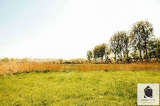 UNIEK GEHEEL VAN 2 WEIDEN EN BOS IN NATUURGEBIED "DE NUCHTEN"
Aan de rand van één van de mooiste natuurgebieden van onze streek, De Nuchten, bevindt zich dit uitzonderlijke perceel bestaande uit twee weiden en een bos. Een unieke kans voor natuurliefhebbers, paardenhouders of kandidaten die op zoek zijn naar rust, ruimte en een groene omgeving.
De percelen sluiten aan op een prachtige natuurlijke omgeving waar fauna en flora vrij spel krijgen. Reeën, eekhoorns en talrijke vogelsoorten maken hier deel uit van het dagelijkse landschap. Dankzij de landelijke ligging geniet u hier van een ongeëvenaard gevoel van rust en privacy.
De weiden bieden tal van mogelijkheden voor recreatief gebruik, het houden van dieren of andere groene bestemmingen binnen de geldende voorschriften. Het aangrenzende bos zorgt voor extra charme en maakt van dit geheel een zeldzame opportuniteit in de regio.
Verderop in de straat bevindt zich een gedeelde toegangsweg waardoor de percelen eveneens bereikbaar zijn met camionette of vrachtwagen.
Een uitzonderlijk stukje natuur dat u ter plaatse moet ervaren. Bezoeken zijn mogelijk na telefonische afspraak met het CasaVista Team. Vastgoedmakelaar Cedric verwelkomt en informeert u graag ter plaatse.
Extra mogelijkheid: de aanpalende woning kan eveneens afzonderlijk aangekocht worden, waardoor een nog ruimer geheel kan worden gevormd.