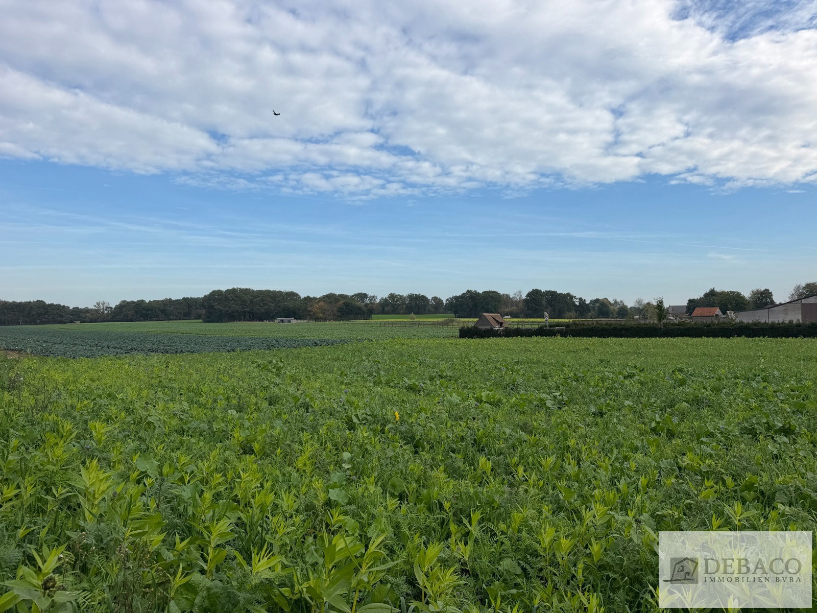 Bouwgrond voor OB op 1.698 m² op goede locatie te Herenthout! - foto 4