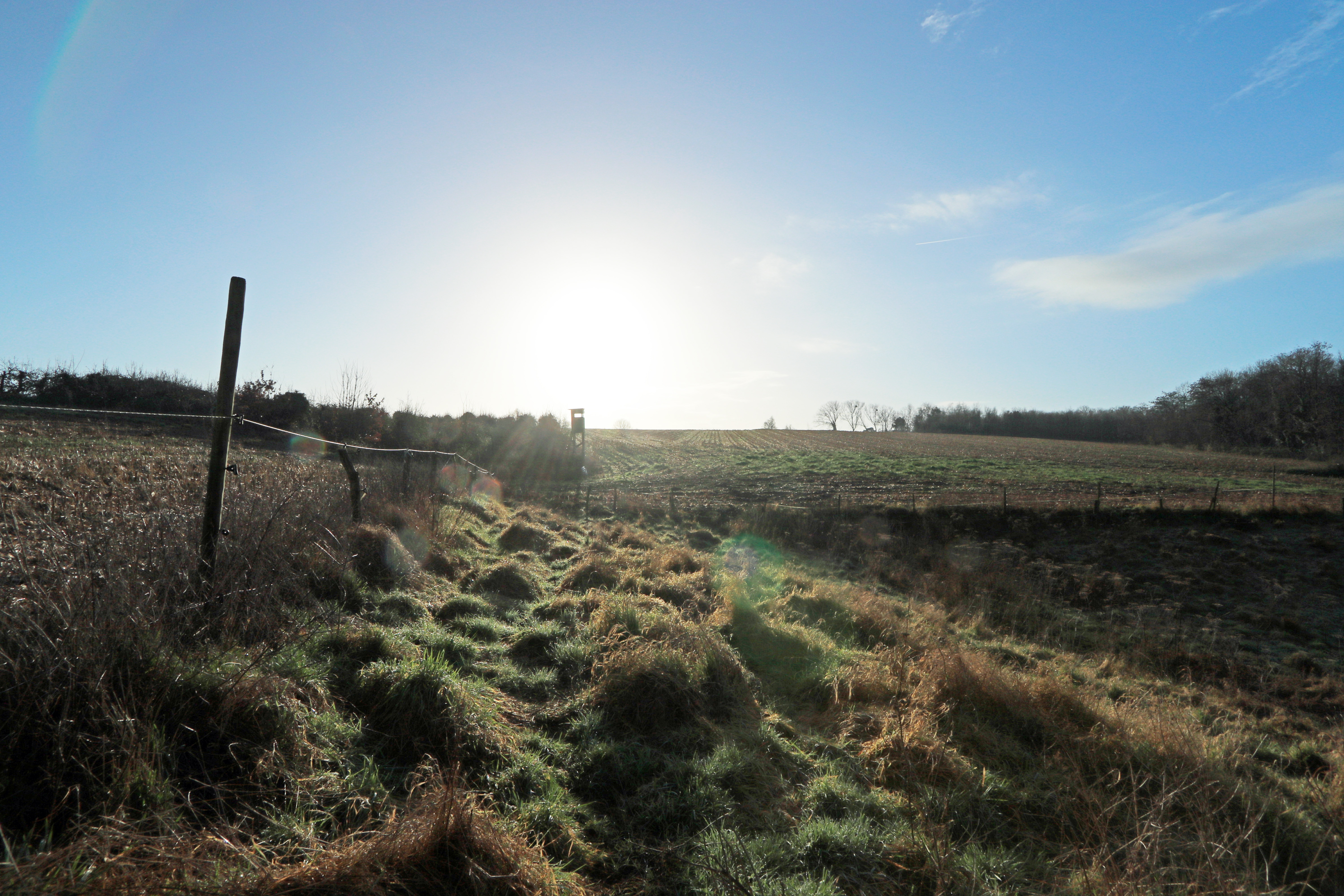 Terrain à vendre à Tielt-Winge - photo 4