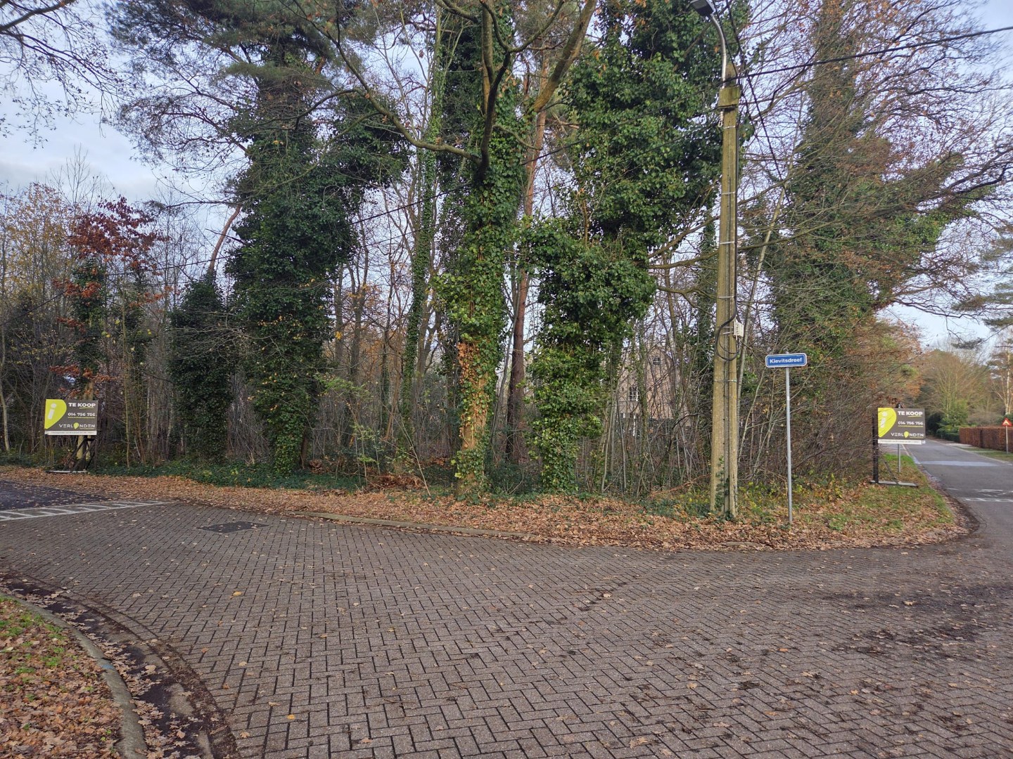 Land for sale in Balen - photo 4