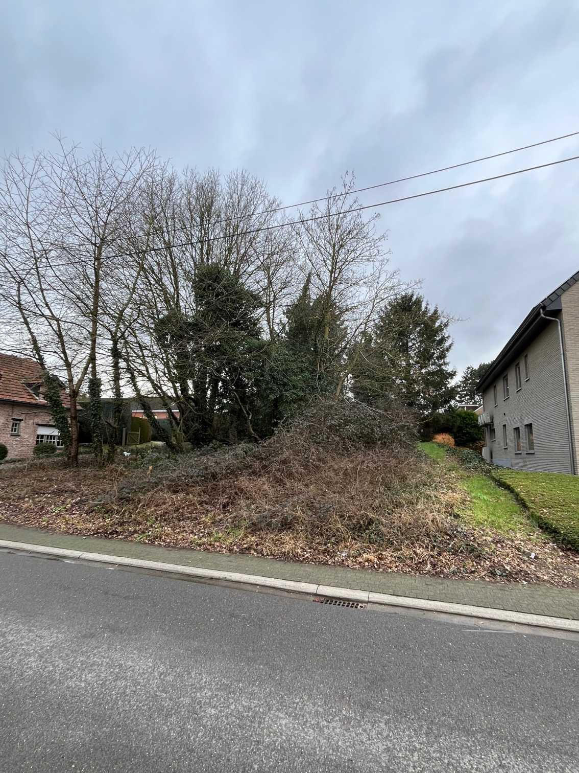 Terrain à vendre à Muizen - photo 3