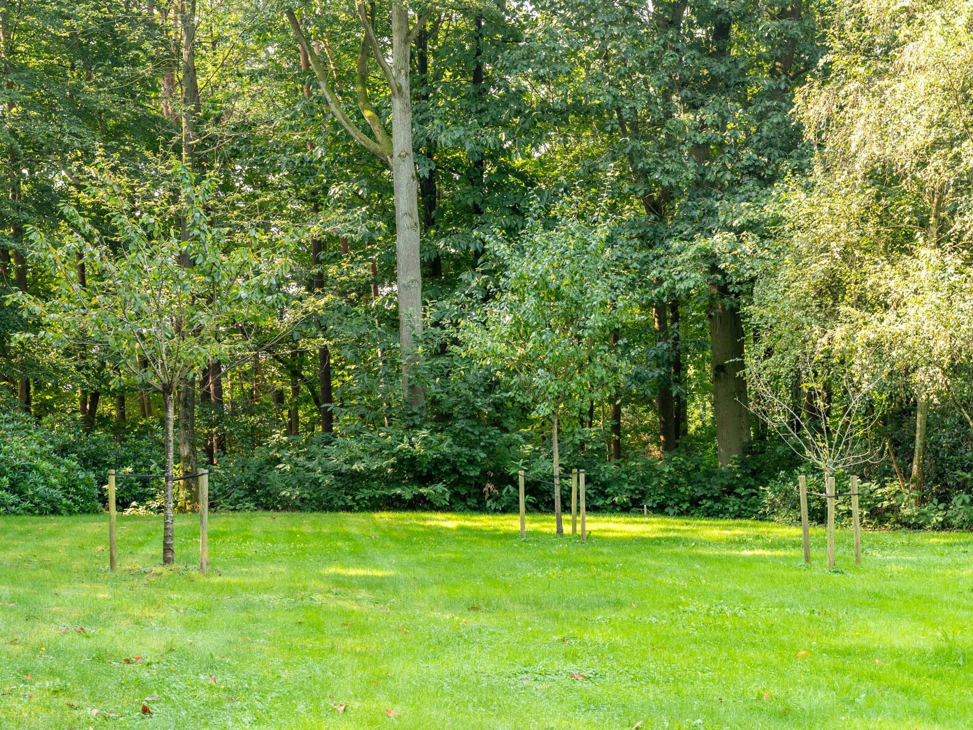 Waals-Brabant I Waver - foto 5