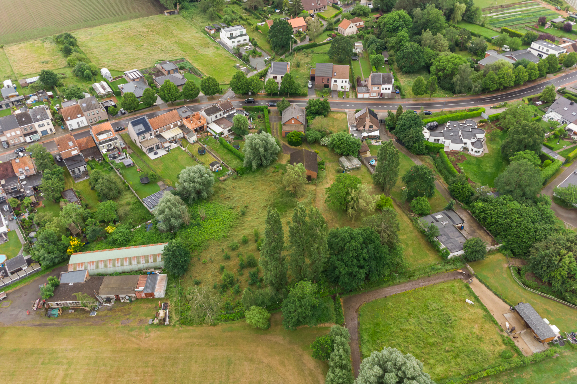 Unieke kans: Riant perceel (5.526 m²) met mogelijkheden - foto 4