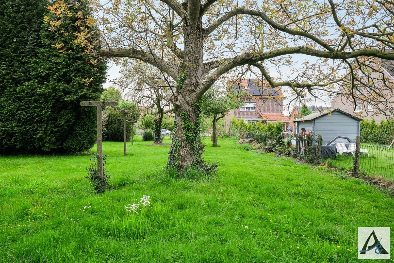 Land for sale in Mopertingen - photo 3