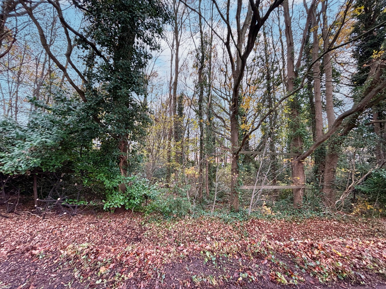 Gronden te koop in Boechout (parkgebied) - foto 1