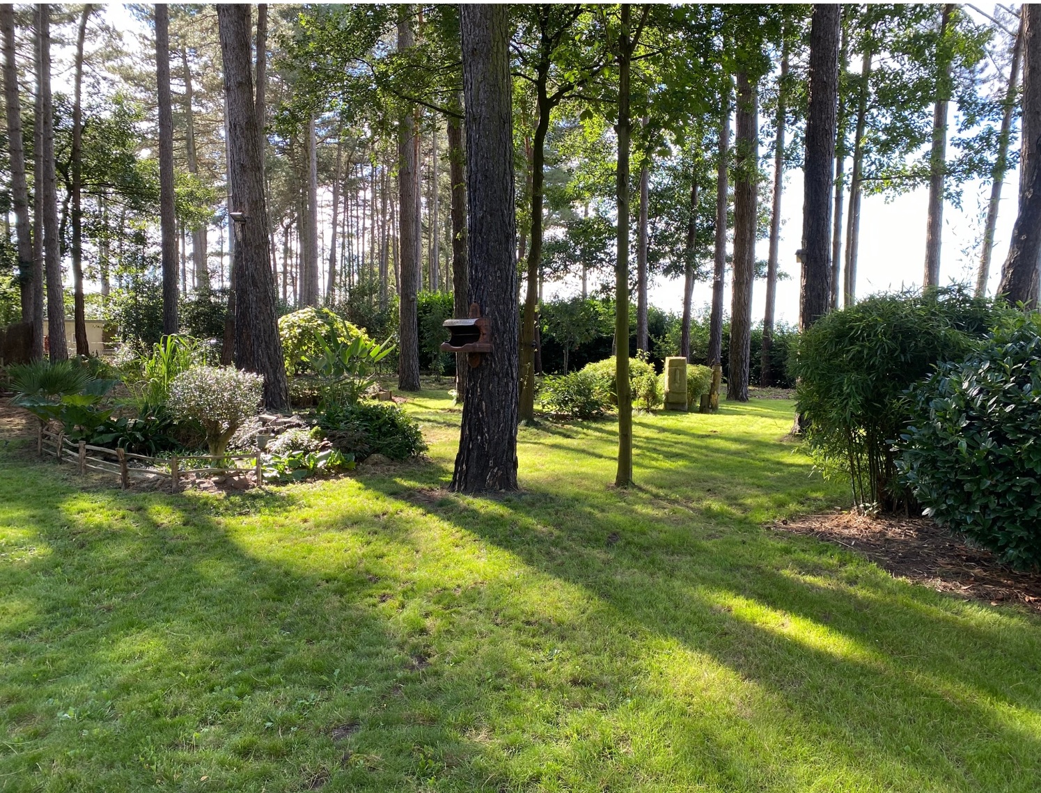 Huis te koop in Herselt met 1 slaapkamer - foto 4