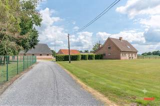 Less is more. Nee, bedankt. MORE IS MORE, of wat had u gedacht? Dit pareltje op een perceel van 1ha omvat niet alleen een prachtige gezinswoning met 4 slpk, maar ook 2 grote bijgebouwen/schuren, 5 paardenboxen en een ruim overdekt terras met zicht op de omliggende velden. <br /><br />De woning heeft net 30 kaarsjes uitgeblazen, en de bijgebouwen werd zo’n 15 jaar geleden volledig gestript en gerenoveerd met duurzame, energiezuinige materialen. Enkel de schuur (385 m²) achteraan op het terrein werd nog niet aangepakt, dus deze kan je nog helemaal naar je eigen hand zetten. <br /><br />De bestemming van de woning werd recent nog aangepast van landbouw naar zonevreemd, dus een landbouwactiviteit is geen must.<br /><br />Graag trouwens nog een beetje more? De achterliggende weilanden (2ha) zijn optioneel te koop. Liever eerst nog wat sparen, en dus voorlopig eerder voorstander van huren? Ook dat is bespreekbaar!<br /><br />Omdat een gedetailleerde beschrijving van zo’n pareltje redelijk overbodig is – what you see is what you get – pakken we vooral graag uit met wat belangrijke highlights:<br /><br />Woning:<br />-gebouwd in 1994, totaalrenovatie in 2009<br />-4 slpk, waarvan 1 gelijkvloers<br />-2 badkamers<br />-Riante keuken met alle snufjes<br />-Héérlijke, zuidgerichte veranda/eetkamer<br /><br />Vernieuwde schuur:<br />-Totaalrenovatie in 2009<br />-Oppervlakte van 375m²<br />-Toegankelijk via grote schuifdeur<br />-Krachtstroom aanwezig<br /><br />Oude schuur:<br />-Oppervlakte van 385m²<br />-Eventueel ook bereikbaar via een eigen toegangsweg naast de woning<br />-Krachtstroom aanwezig<br />-Renovatieproject<br /><br />Paardenboxen:<br />-Totaalrenovatie in 2009<br />-Oppervlakte van 100m²<br />-5 ruime boxen + wasruimte<br />-Diverse mogelijkheden dankzij nieuwe draagstructuur <br /><br />Overdekt terras:<br />-Oppervlakte van 40m²<br />-Volledig af te sluiten<br />-Gezellige haard<br />-Kilometers groen zicht