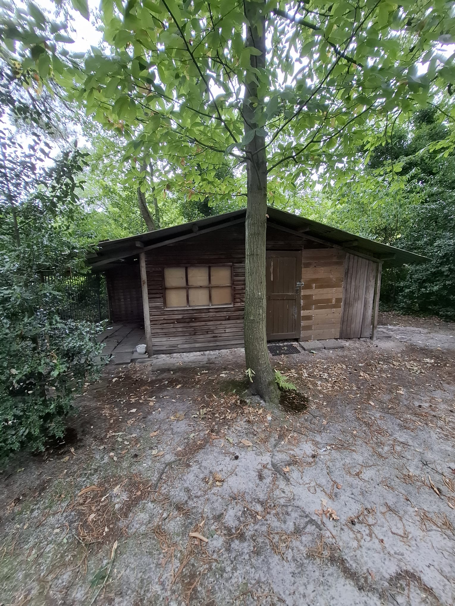 Een gunstig gelegen woning met tuin - foto 5