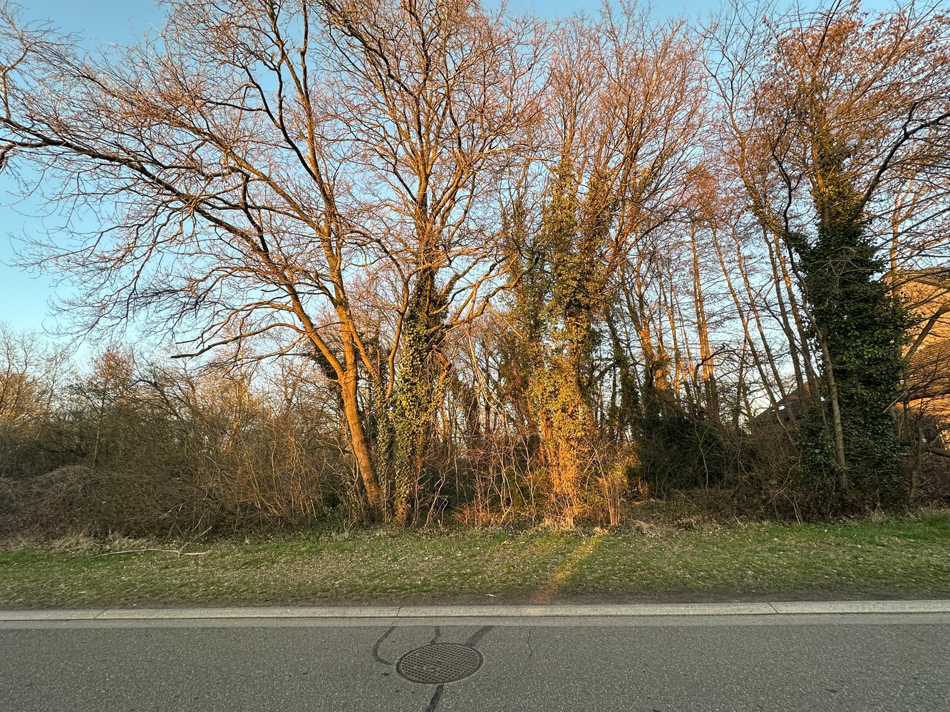 Perceel grond in woonuitbreidingsgebied te koop - foto 4