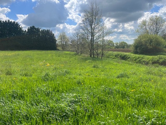 BETEKOM - Drie ruime bouwgronden voor OB, vlak bij het centrum - foto 5