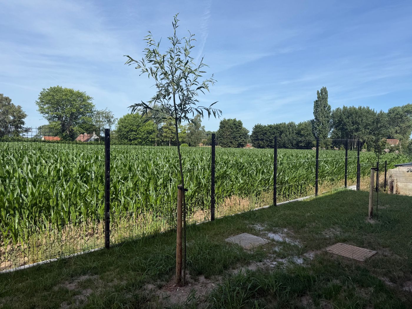 Bijzondere loftwoning binnen KMO-omgeving - foto 4
