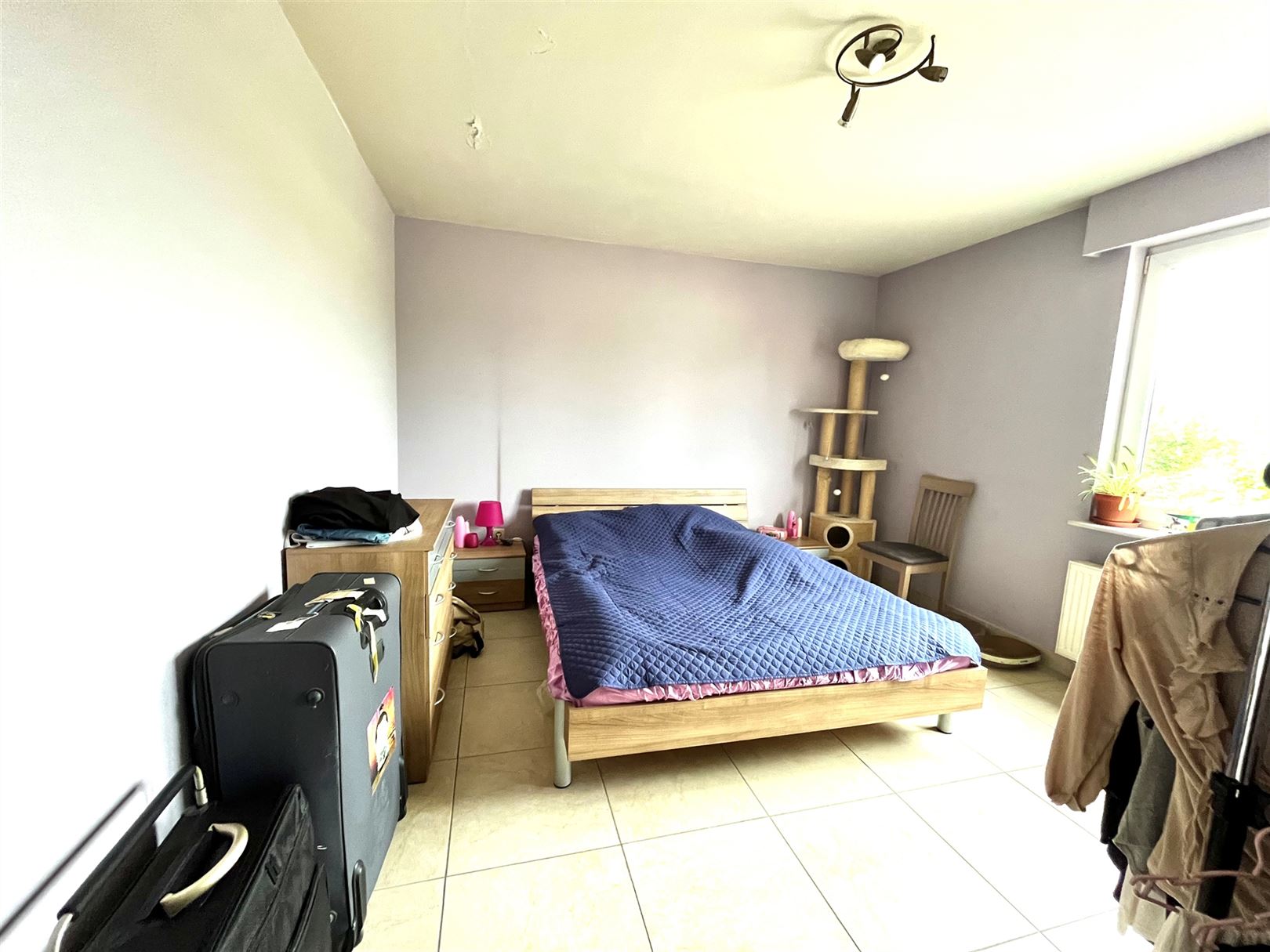 Appartement - photo 5