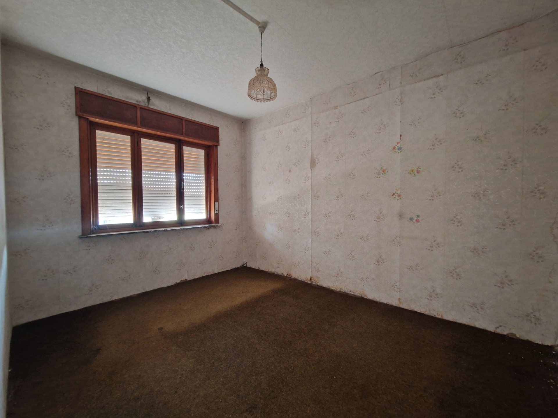 Ruime woning met veel potentieel te Werchter - foto 4