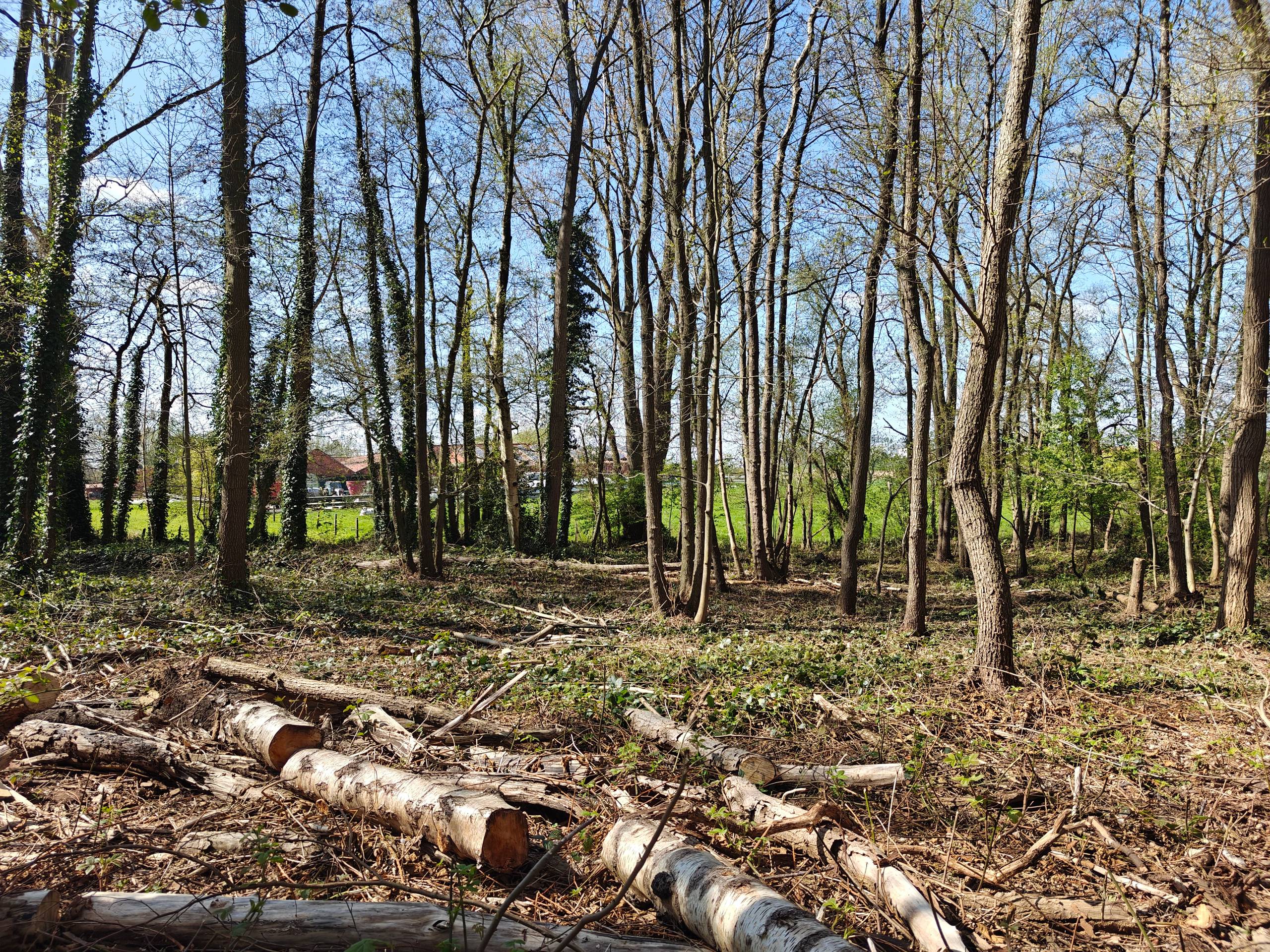Recreatiegrond op een uiterst rustige ligging te Zonnebeke - foto 2