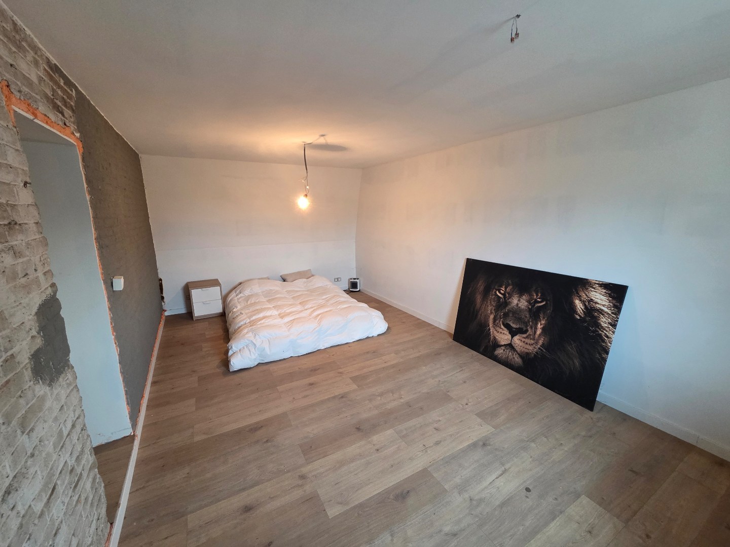 Verder af te werken woning op 890m²!! - foto 5