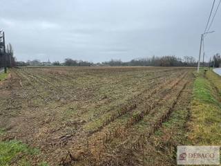 Terrain à vendre à Berlaar