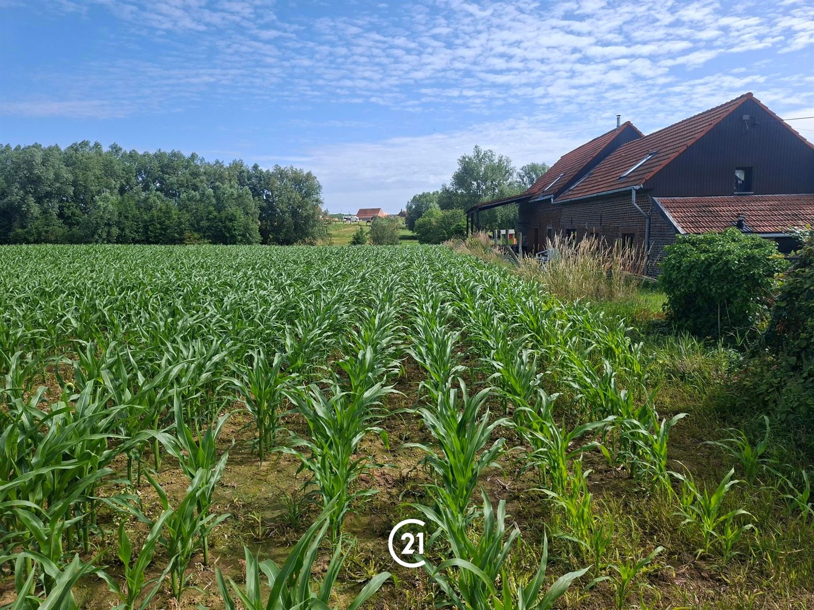 Prachtig perceel landbouwgrond 2hect67 bereikbaar via losweg - foto 4