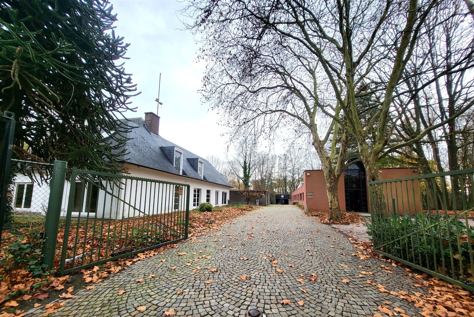Villa met professionele opslagruimte, kelder en kantoorruimtes. - foto 1