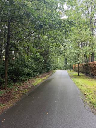 Deze eigendom is een totale renovatie op een prachtige grond. Uiterst rustig gelegen, veel privacy! Mooi perceel op een hoek Krynlaan-Korenbloemlaan, goede configuratie, mooie breedte diepte verhouding. Ideaal perceel voor een mooie family villa op te bouwen, residentieel gelegen! Vanwege de grote van het perceel 4250m2 uiterst veel mogelijkheden. Een absolute aanrader! EPC LABEL F , 2611kWh/m2 certificaatnr.20251006-0003702958-RES-1.Meer info: www.domus-immobilien.be of bel Irene 0475/653581.