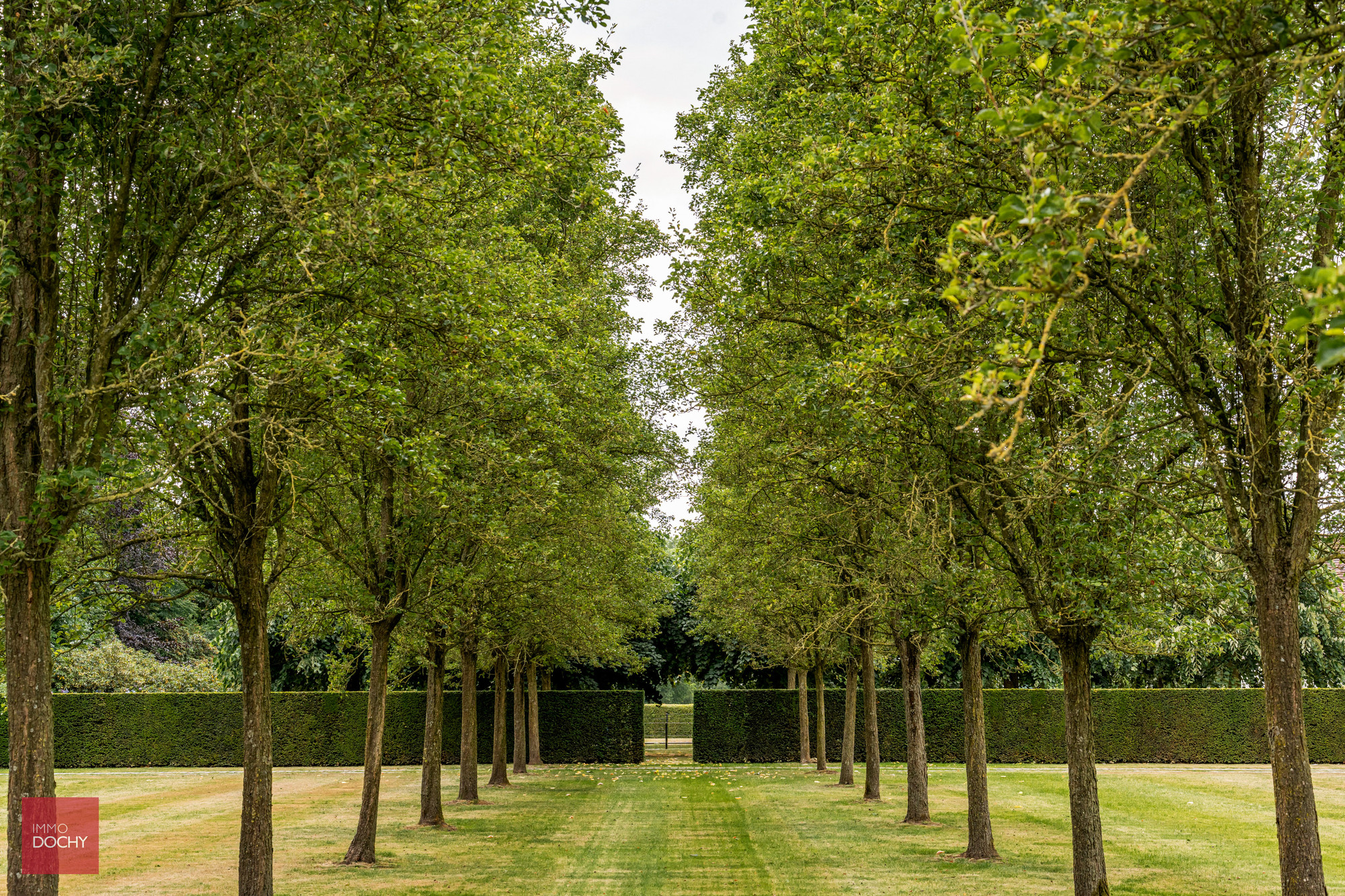 Unieke eigendom in alle rust en privacy op ca. 5,4ha - foto 3