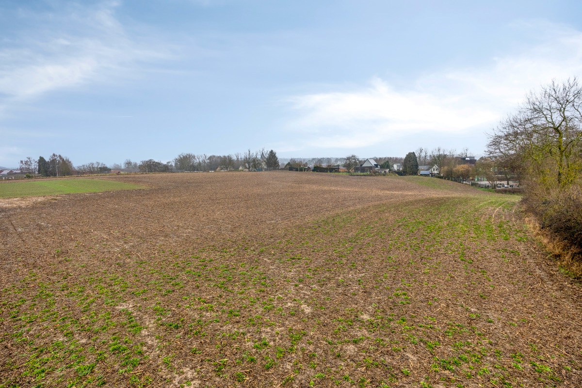 Land for sale in Bierbeek - photo 4
