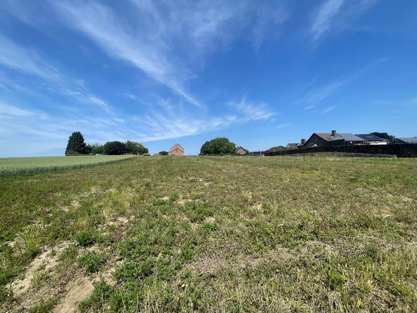 Land for sale in Borlo - photo 5