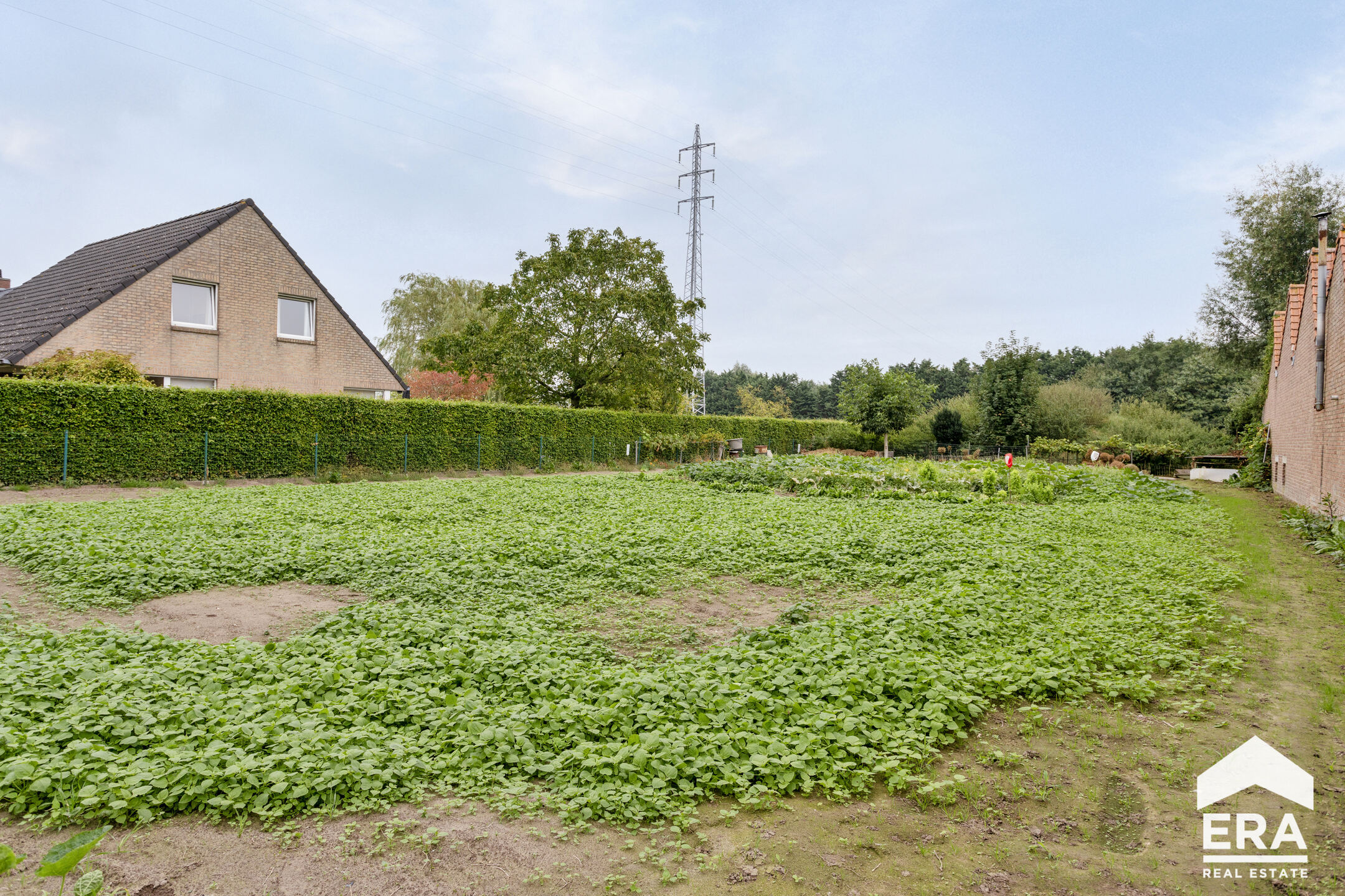 Bouwgrond geschikt voor open bebouwing in Wielsbeke - foto 2