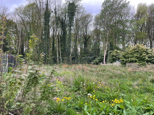 Zéér centraal gelegen perceel bouwgrond 776m² voor HOB zonder bouwverplichting - foto 3