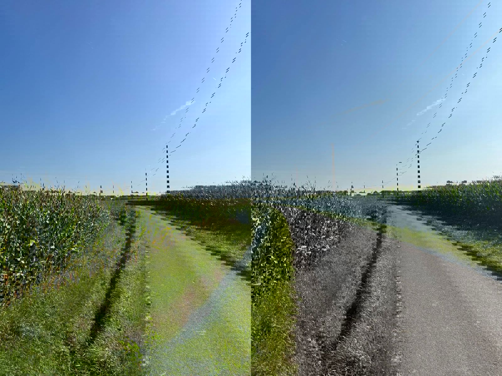 Project te koop in Poperinge - foto 5