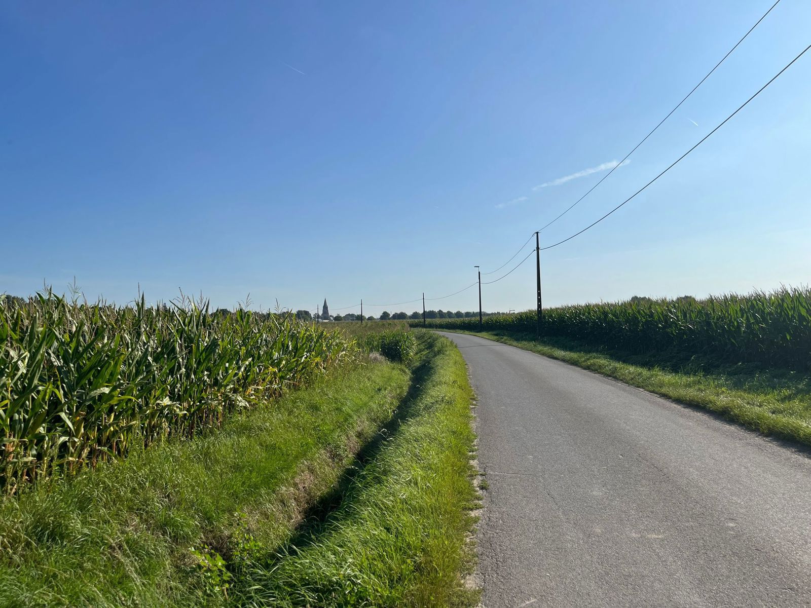 Project for sale in Poperinge - photo 5