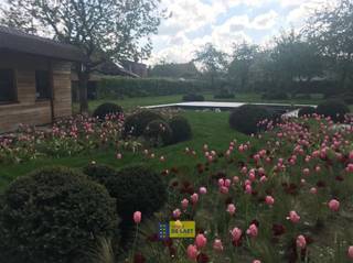Deze projectgrond is gelegen in woongebied en heeft volgende mogelijkheden. Volgens de huidige bouwvisie zijn zowel appartementen...