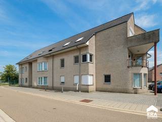 <p>Duplex appartement met 3 zeer ruime slaapkamers op een topligging tussen de centra van Neerpelt en Overpelt. Winkels, scholen, openbaar vervoer, diverse eet- &amp; drinkgelegenheden zijn op fiets- &amp; wandelafstand van het appartement.</p>
<p> </p>
<p>Grote open woonkamer met veel lichtinval. Aan de achterkant van het complex gelegen terras van maar liefst 40m², zonder inkijk van de buren. Op verdieping zijn er 3 ruime slaapkamers, badkamer en is er toegang tot een grote bergzolder.</p>
<p><strong><u>Enkele troeven:</u></strong></p>
<ul><li>Centrum van Pelt op wandel- &amp; fietsafstand en dicht bij invalswegen</li><li>Ruime woonkamer met veel lichtinval en open keuken</li><li>Aparte carport aan de achterkant </li><li>3 ruime slaapkamers</li><li>Gunstig EPC: 165 kWh/m²</li></ul>
<p><strong><u>Indeling:</u></strong><u> </u></p>
<ul><li>1e verdieping: inkomhal, woonkamer, keuken met eethoek, berging/wasplaats, toilet, terras</li><li>2e verdieping: nachthal, 3 slaapkamers, badkamer, berging en zolderluik</li><li>Ruime carport en gemeenschappelijke fietsenberging</li></ul>