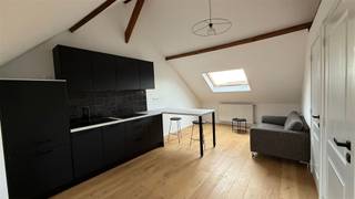 Ce studio confortable est situé au dernier étage d'un petit immeuble sur Haantjeslei à Anvers. Le studio est meublé et dispose d'un espace de vie...