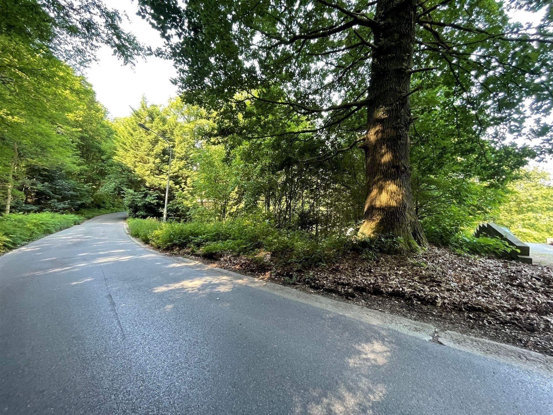 Land for sale in Hennuyères - photo 4