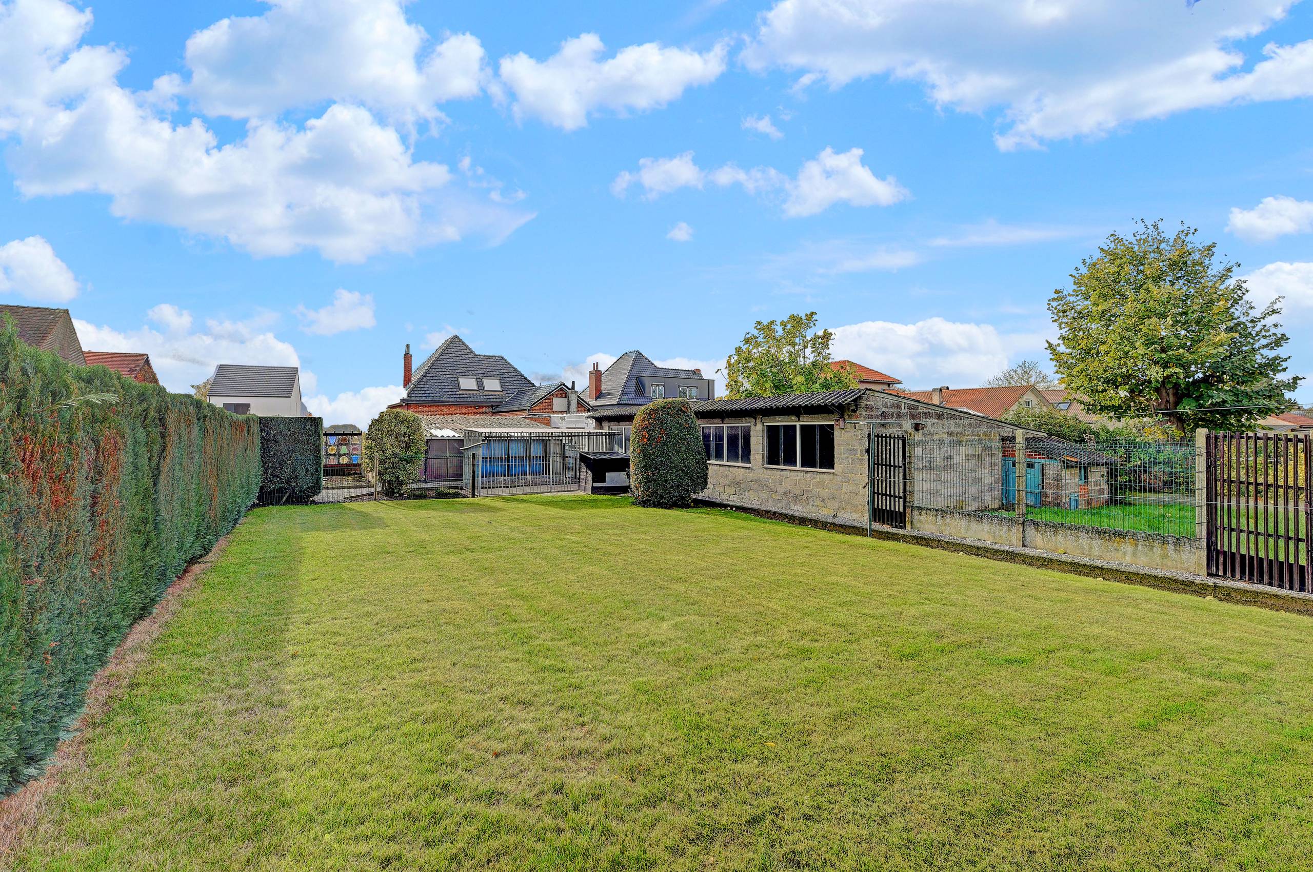 Landelijk gelegen 3 slaapkamerwoning op 12a 22ca. - foto 2