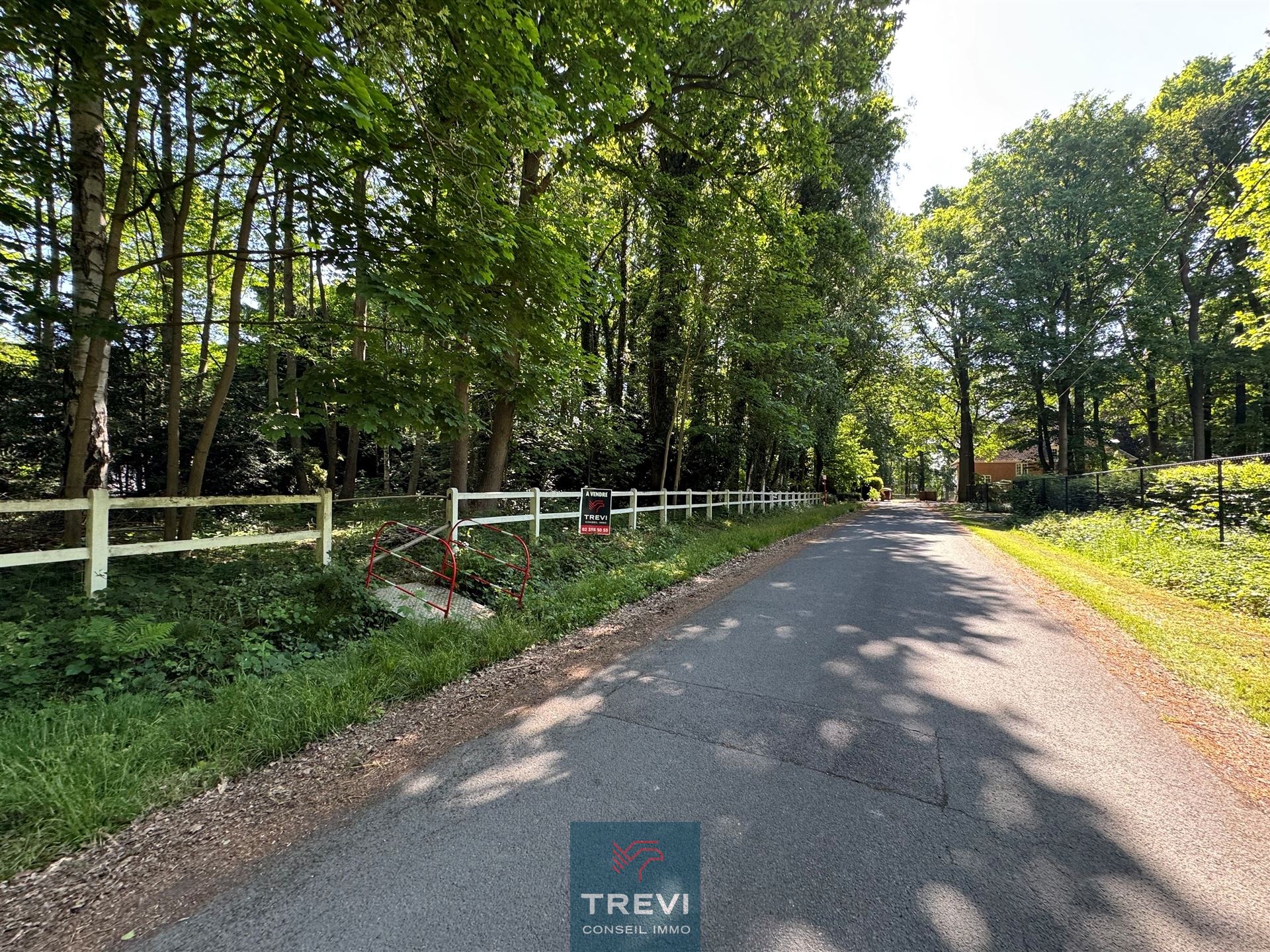Bois du Strihoux. Formidable terrain à bâtir - photo 5
