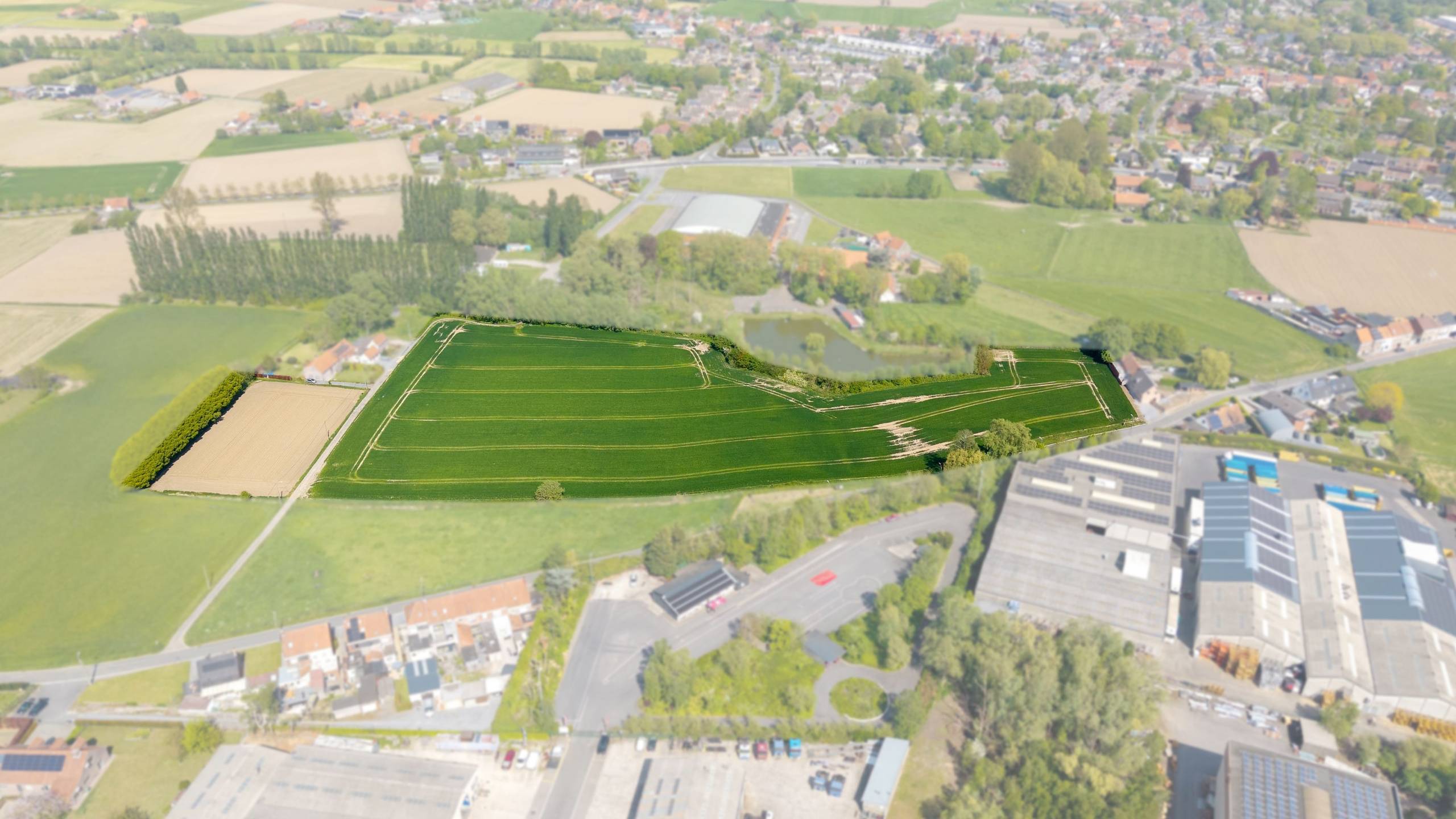 Recreatiegrond van 32.213m² te koop op toplocatie in Gullegem! Toetsingskader in bijlage. - foto 4