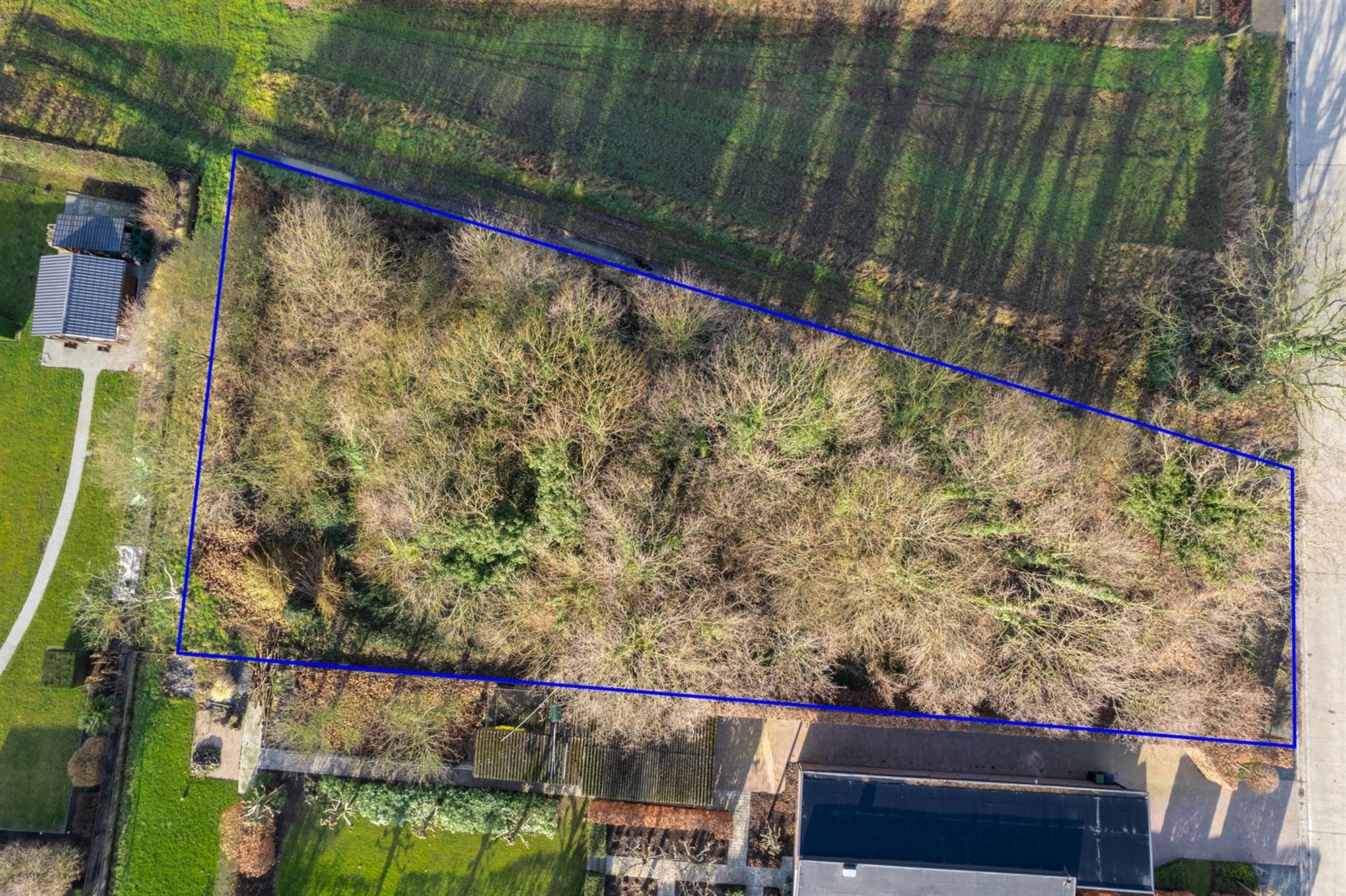 Land for sale in Putte - photo 5