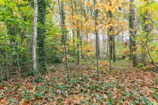 Deze residentieel gelegen bouwgrond voor een open bebouwing, gelegen in het groen op de Heikantberg te Rotselaar, heeft een oppervlakte van 15 are...