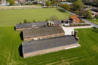 Hoeve met bedrijfswoning en varkensstallen op 1ha 33 te koop te Kalmthout<br /><br />Bedrijfswoning nog in vruchtgebruik moeder bedrijfsleider<br />3 varkensstallen, waarvan 1 omgevormd naar loods, in overige 2 stallen zitten momenteel 512 varkens<br />1 ha aanpalende grond, 1 blok<br />Verlenging van de milieuvergunning voor varkens in aanvraag voor 700 varkens tot 2030<br />bijhorende NER